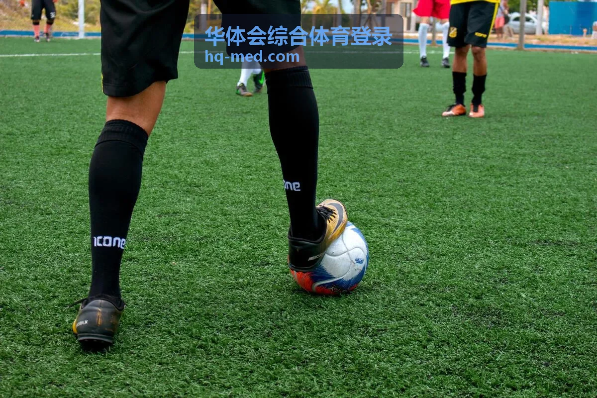 华体会综合体育登录登录流程说明配图