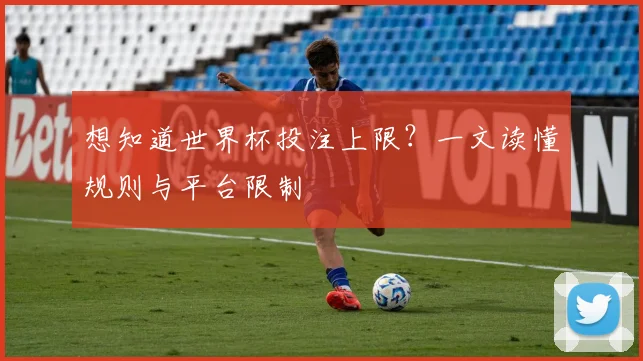 想知道世界杯投注上限?一文读懂规则与平台限制
