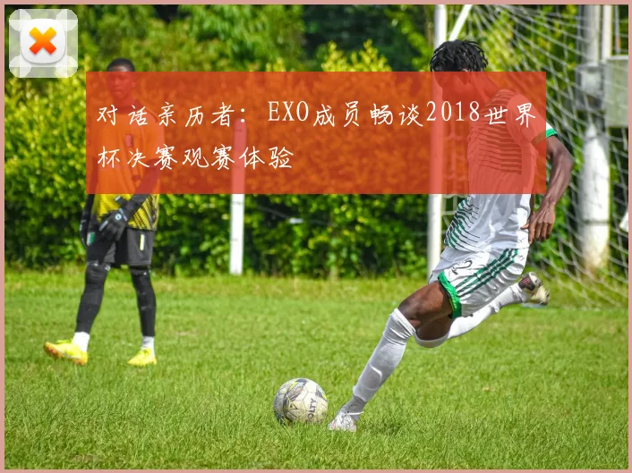 对话亲历者:EXO成员畅谈2018世界杯决赛观赛体验