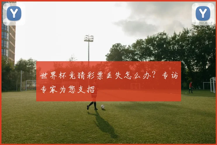世界杯竞猜彩票丢失怎么办？专访专家为您支招