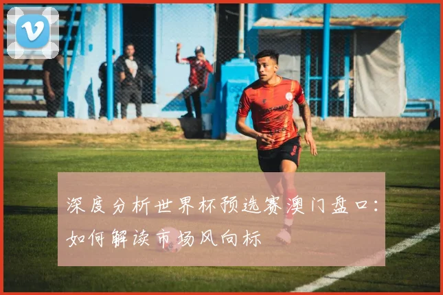 深度分析世界杯预选赛澳门盘口：如何解读市场风向标