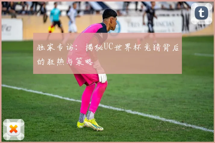 独家专访:揭秘UC世界杯竞猜背后的狂热与策略